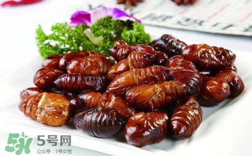 蟬蛹可以人工養(yǎng)殖嗎？蟬蛹的養(yǎng)殖方法