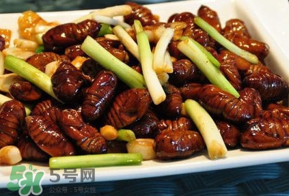 孕婦可以吃蟬蛹嗎？懷孕吃蟬蛹有沒有副作用
