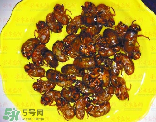 知了猴能淹死嗎？知了猴哪個(gè)部位不能吃？