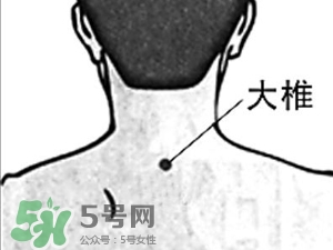 三伏貼能治過(guò)敏性鼻炎嗎？三伏貼治過(guò)敏性鼻炎貼哪里？