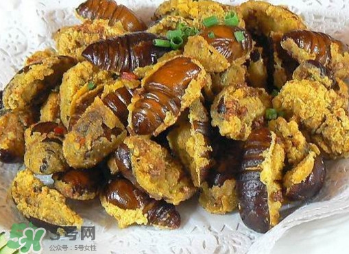 水煮蟬蛹怎么做？蟬蛹煮多久可以熟？