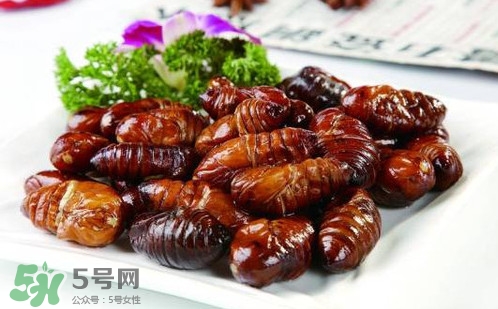 蟬蛹里面黑色的能吃嗎？蟬蛹是怎么形成的