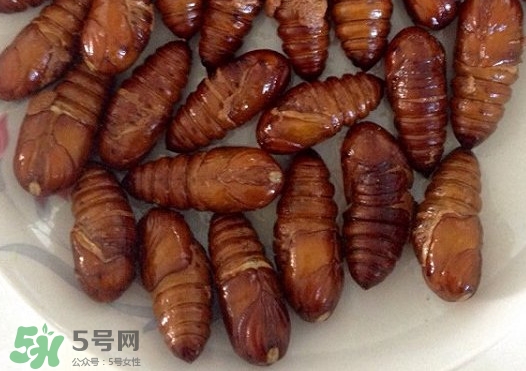 蟬蛹吃什么部位？蟬蛹都有哪些營養(yǎng)價(jià)值