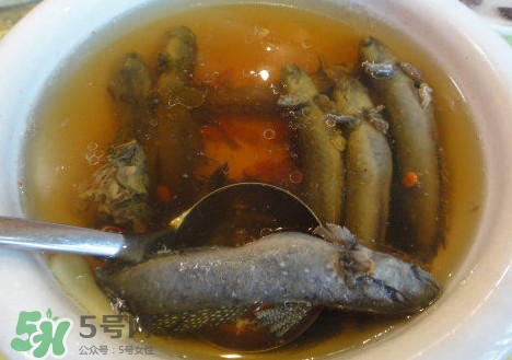 跳跳魚(yú)多少錢(qián)一斤？跳跳魚(yú)是淡水魚(yú)嗎？