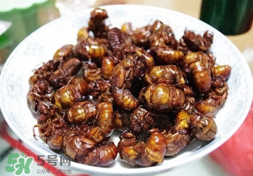 蟬蛹什么人不能吃？蟬蛹不能和什么一起吃