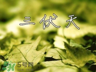 三伏天怎么坐月子？三伏天坐月子要注意什么？
