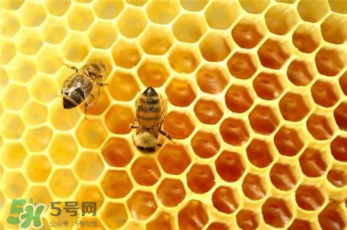 三伏貼能治過(guò)敏性鼻炎嗎？三伏貼治過(guò)敏性鼻炎貼哪里？