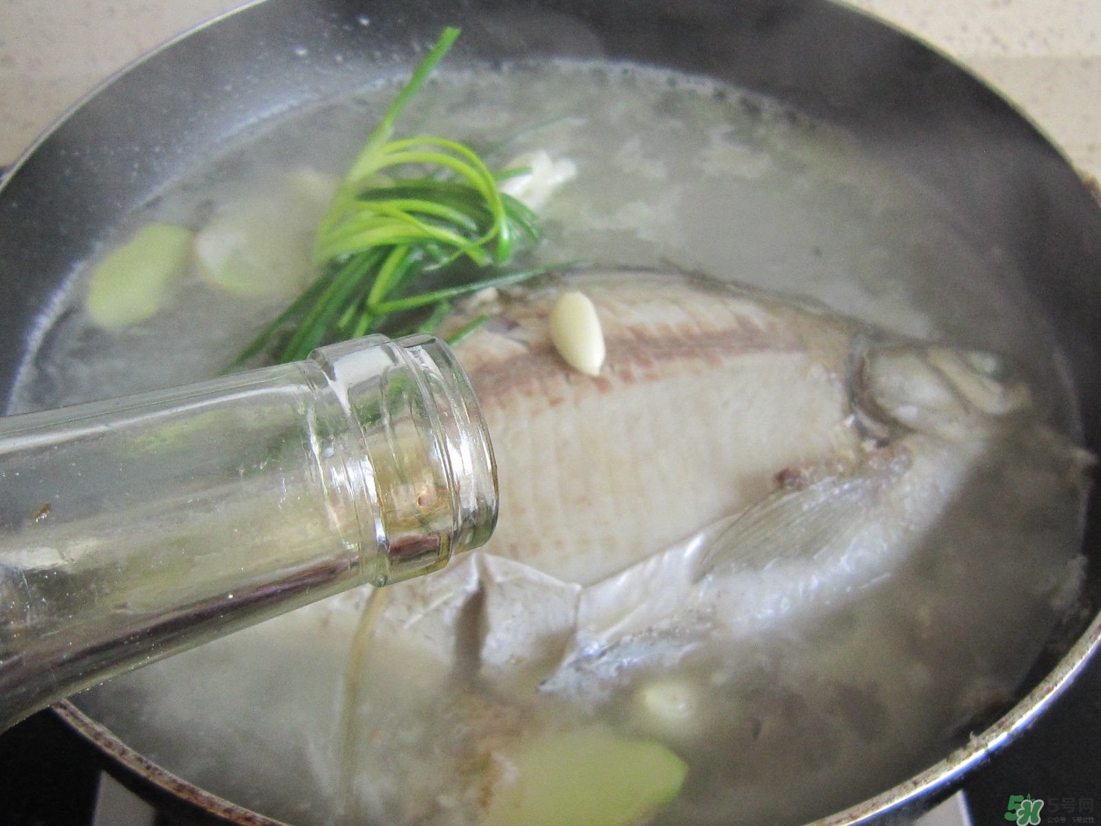 三伏灸可以吃魚嗎？三伏灸可以吃什么魚？