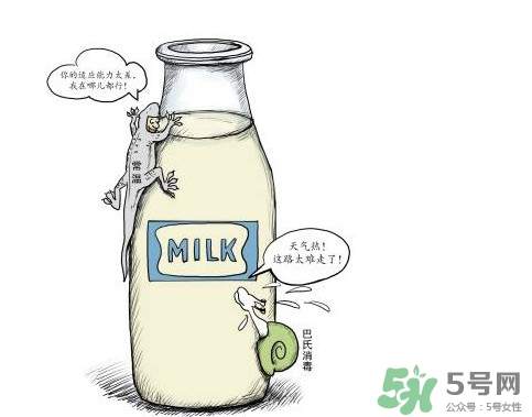 巴氏奶可以加熱嗎？巴氏奶常溫能放多久