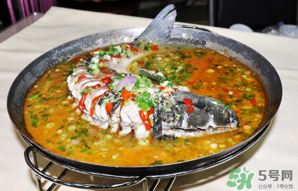 三伏灸可以吃魚嗎？三伏灸可以吃什么魚？