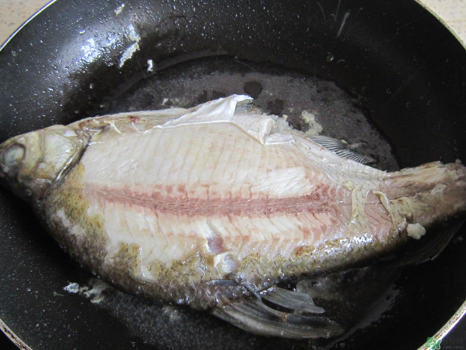三伏灸可以吃魚嗎？三伏灸可以吃什么魚？