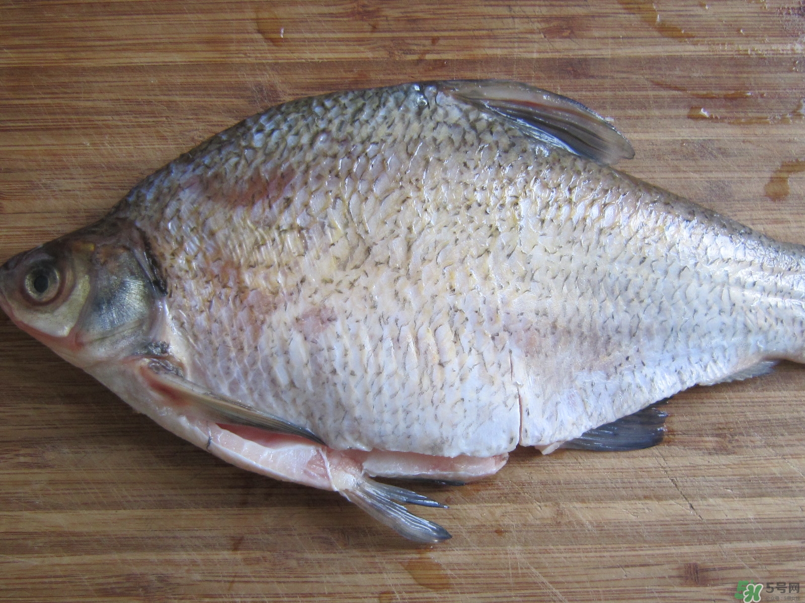 三伏灸可以吃魚嗎？三伏灸可以吃什么魚？