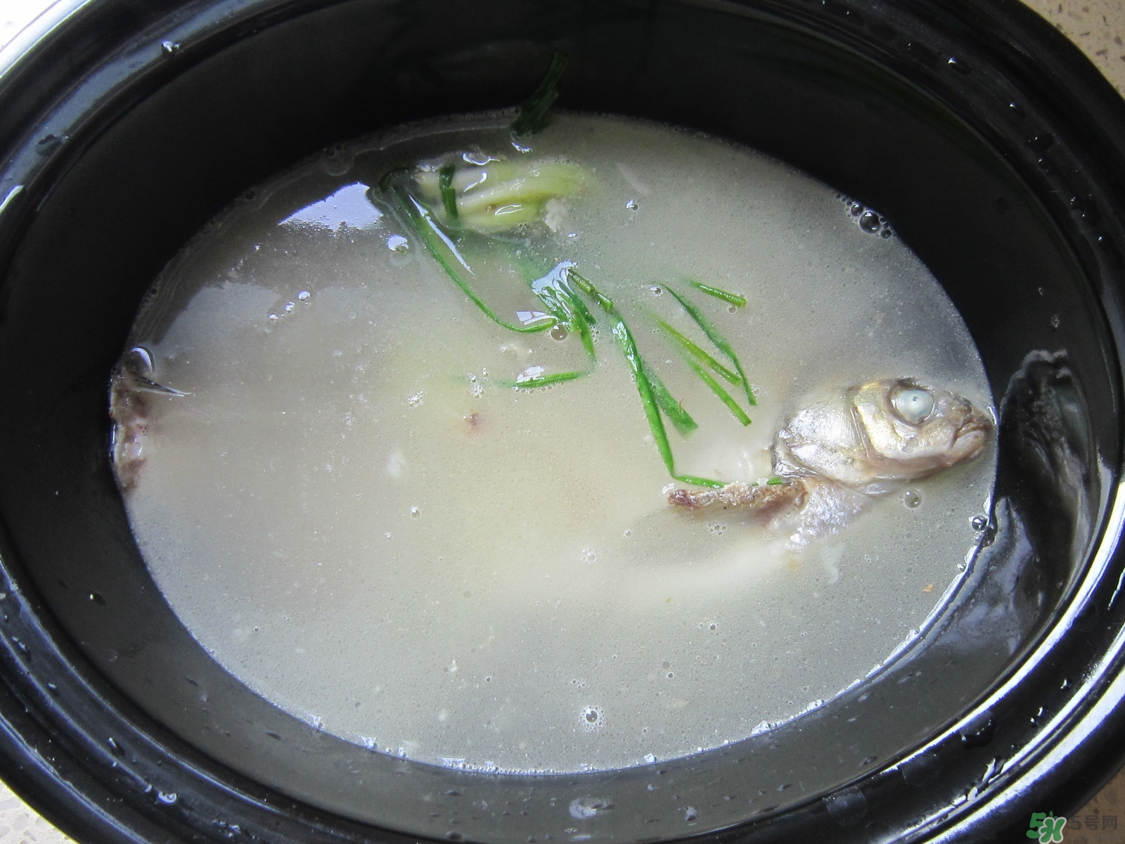 三伏灸可以吃魚嗎？三伏灸可以吃什么魚？