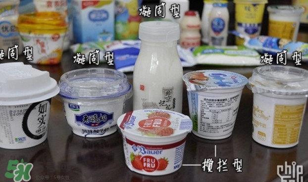 什么牌子的酸奶好？每天喝酸奶好還是純牛奶好