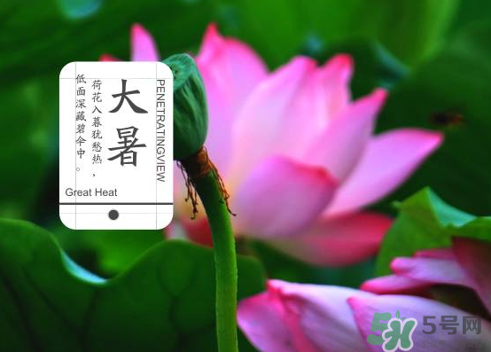大暑和處暑是什么意思？大暑熱還是處暑熱？