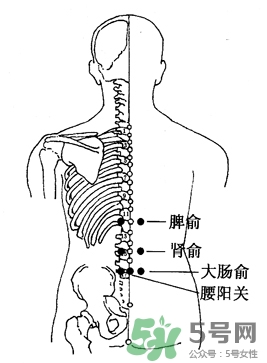 三伏灸可以治腰腿痛嗎？三伏灸治腰腿痛灸哪里》