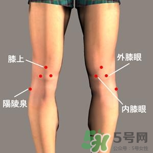 三伏灸可以治腰腿痛嗎？三伏灸治腰腿痛灸哪里》