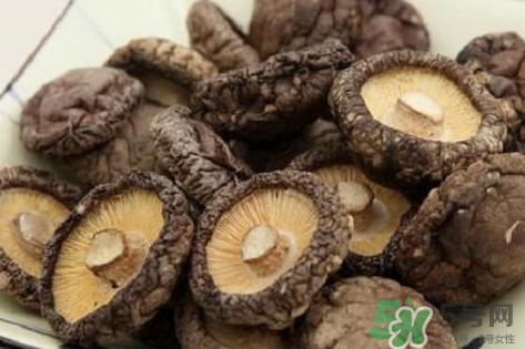 香菇是蘑菇嗎？香菇和蘑菇有什么區(qū)別