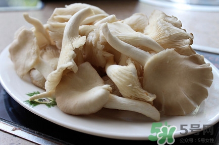 平菇怎么吃最有營養(yǎng)？平菇長白毛還能吃嗎