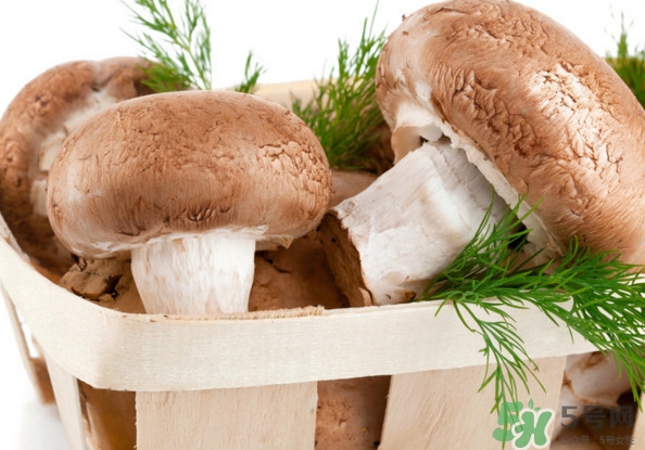 買(mǎi)香菇怎么挑選？干香菇怎么挑選？