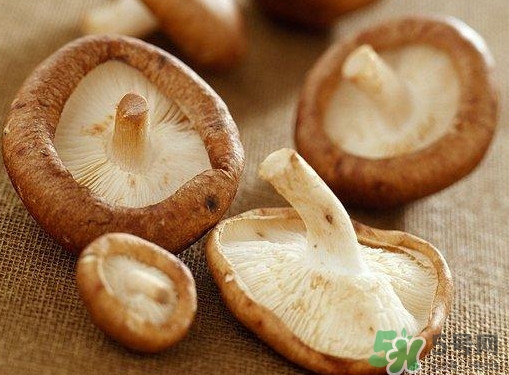 買(mǎi)香菇怎么挑選？干香菇怎么挑選？