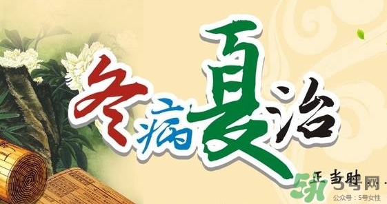 三伏灸要灸幾次？三伏灸要灸多久？