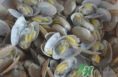 花蛤蜊什么時(shí)候最肥？花蛤蜊怎么挑選