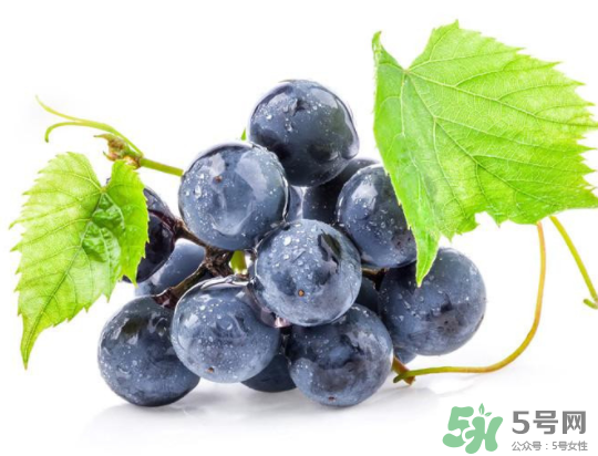 夏黑葡萄為什么掉色？夏黑葡萄怎么會染色？