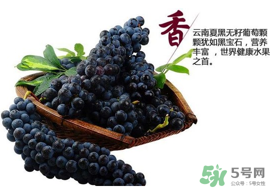 夏黑葡萄怎么保存？夏黑葡萄可以放冰箱嗎？