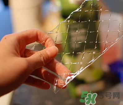 吉利丁片哪里可以買到？吉利丁片超市有賣嗎