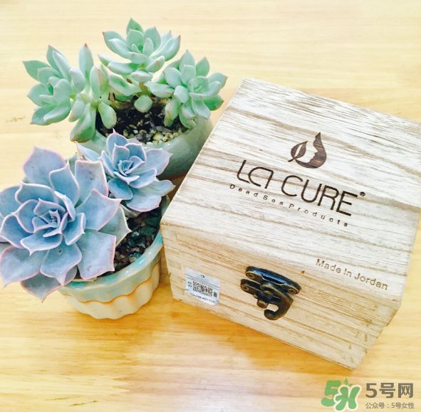 天然死海礦物泥面膜怎么樣？天然死海礦物泥面膜好用嗎？