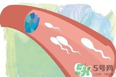 男性避孕藥什么牌子好？男性避孕藥多少錢一盒？