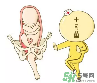 胎位不正能順產(chǎn)嗎？胎位不正怎么辦？