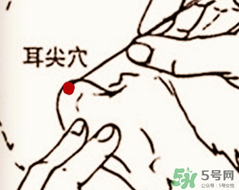 什么是放血療法？放血療法能治什么病