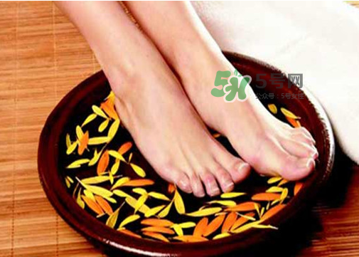 三伏天能用姜泡腳嗎？三伏天用姜泡腳好嗎？