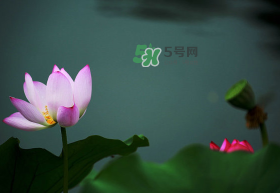 2017中伏最熱嗎？ 2017初伏中伏末伏哪個(gè)最熱？