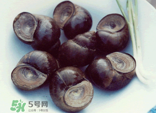 田螺是發(fā)物嗎？田螺是海鮮嗎
