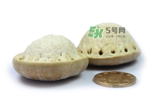 風(fēng)流果泡酒要不要敲碎？壯陽(yáng)果泡水要不要敲碎？