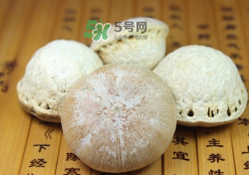 風(fēng)流果泡酒要不要敲碎？壯陽(yáng)果泡水要不要敲碎？