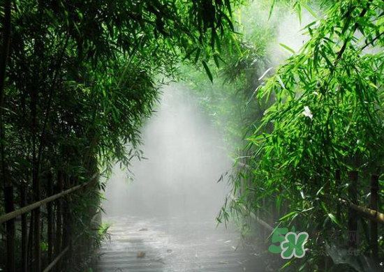 2017大暑會不會下雨？2017大暑下雨好嗎？