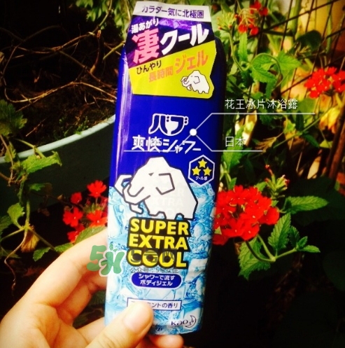 花王kao冰片沐浴露怎么樣？花王冰片沐浴露哪款好？