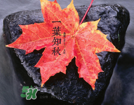 立秋后就是秋天了嗎？立秋后就涼快了嗎？