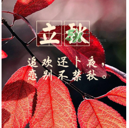 立秋后就是秋天了嗎？立秋后就涼快了嗎？