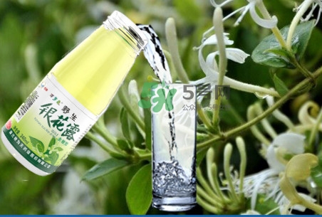 金銀花露怎么打開(kāi)？金銀花露能降火嗎