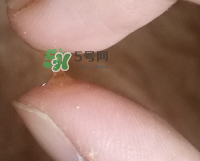 SKINCEUTICALS修麗可夜間精華怎么樣_好用嗎？