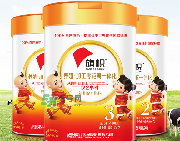 旗幟奶粉怎么樣？旗幟奶粉好不好？