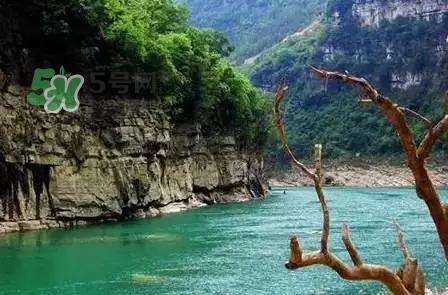 漂流需要準備什么東西？漂流哪里最好玩？