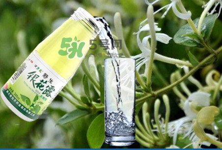 金銀花露可以冷藏嗎？金銀花露能放冰箱嗎？