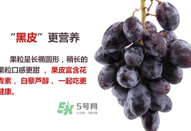 紅提好吃還是黑提好吃？黑提對身體有什么好處