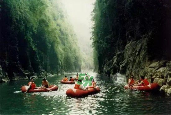 漂流需要準備什么東西？漂流哪里最好玩？